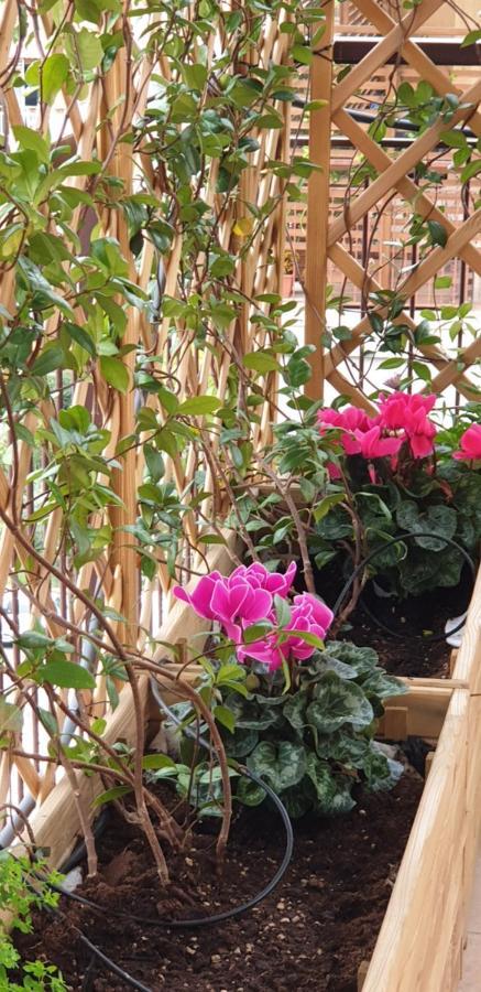 Bed and Breakfast In Terrazza Da Giusy Roma Exterior foto
