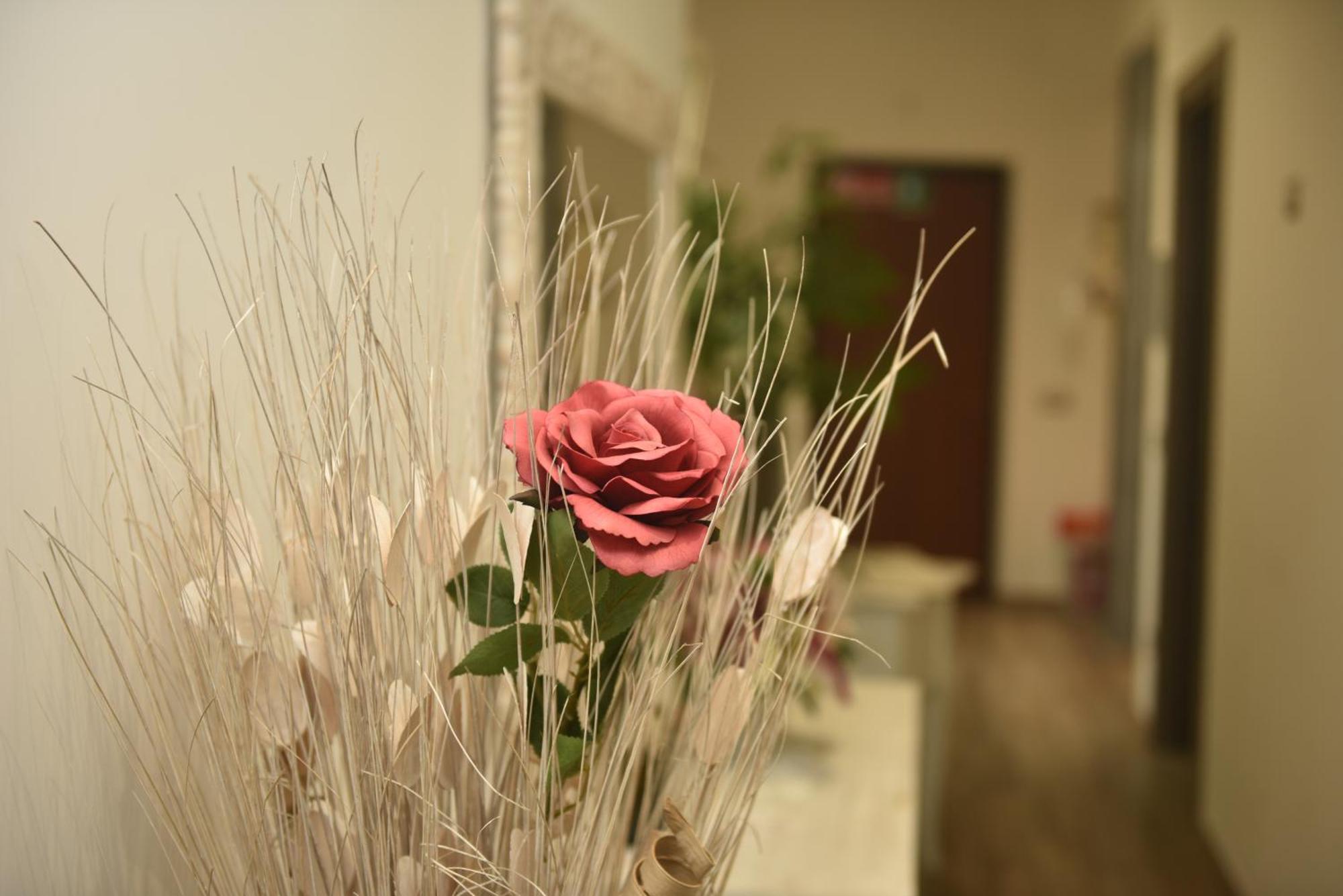 Bed and Breakfast In Terrazza Da Giusy Roma Exterior foto