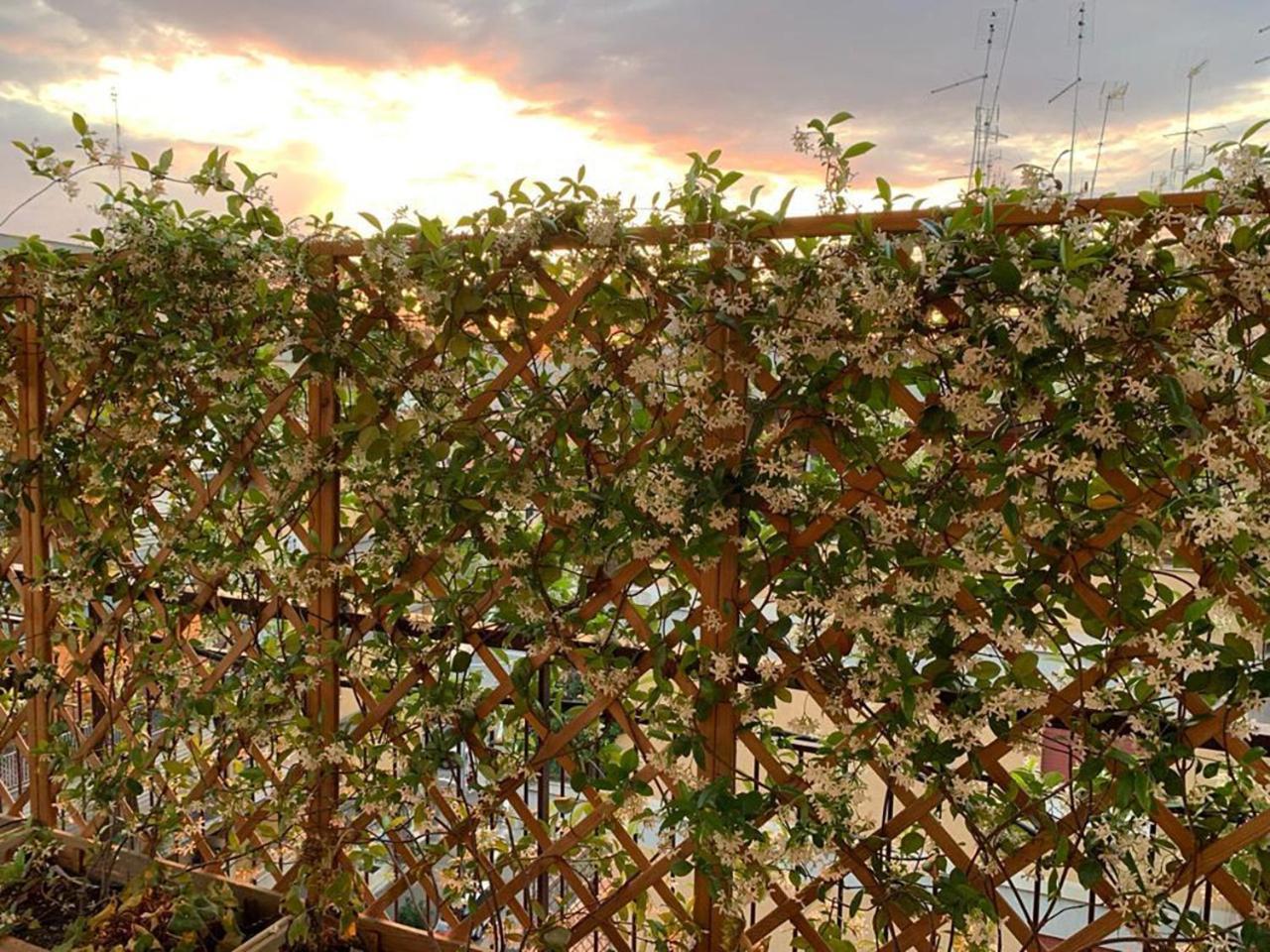Bed and Breakfast In Terrazza Da Giusy Roma Exterior foto